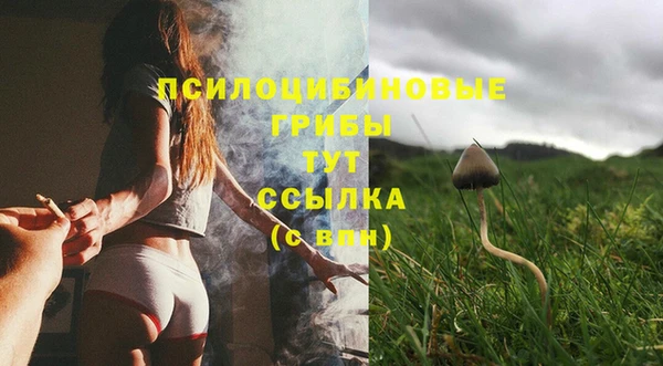 спайс Володарск