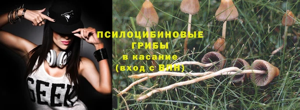 прущая мука Верея