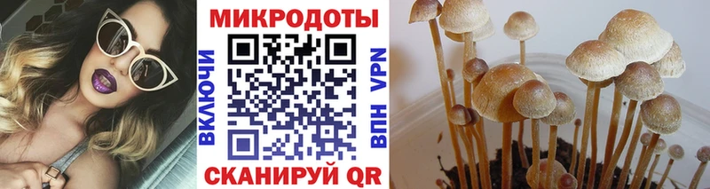 Псилоцибиновые грибы ЛСД  Вичуга 
